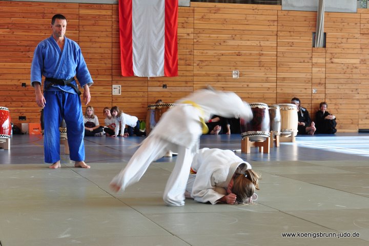 110417_budo-benefiz-gala_042_judo