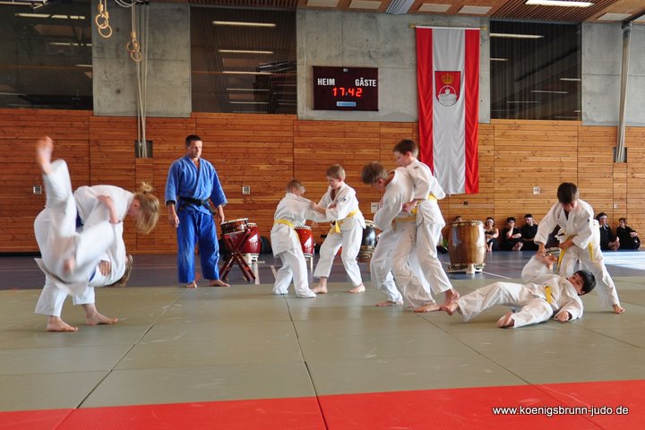 110417_budo-benefiz-gala_058_judo