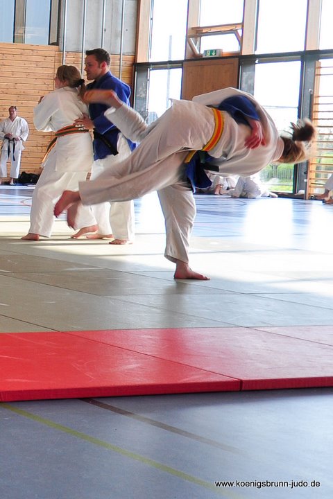 110417_budo-benefiz-gala_066_judo