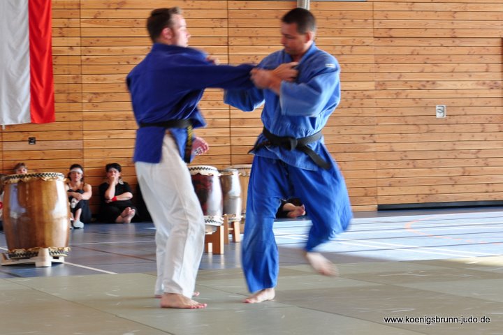 110417_budo-benefiz-gala_088_judo_teiotoshi