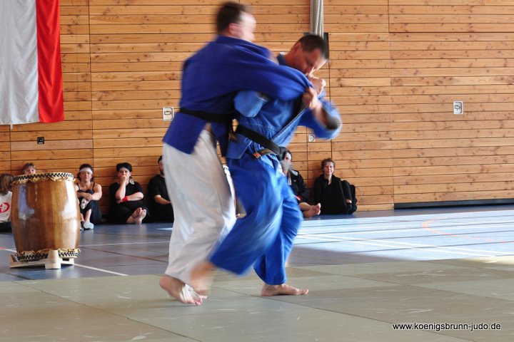 110417_budo-benefiz-gala_089_judo_teiotoshi