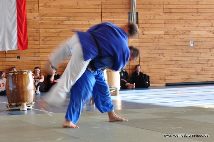 110417_budo-benefiz-gala_090_judo_teiotoshi