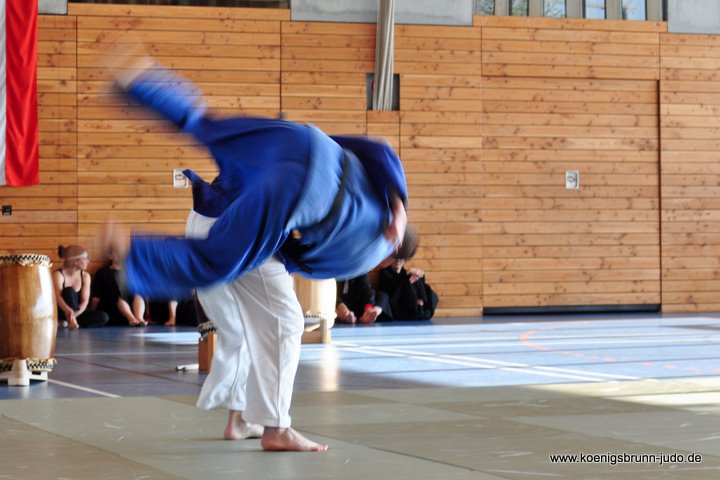 110417_budo-benefiz-gala_121_judo_ukigoshi