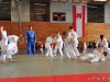 110417_budo-benefiz-gala_058_judo