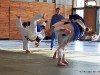110417_budo-benefiz-gala_076_judo