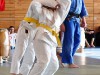 110417_budo-benefiz-gala_079_judo