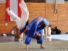 110417_budo-benefiz-gala_110_judo_ogoshi